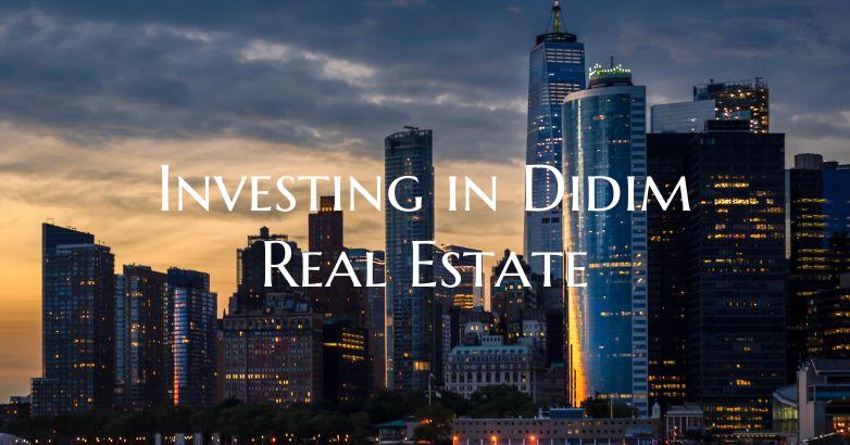 Investing in Didim Real Estate