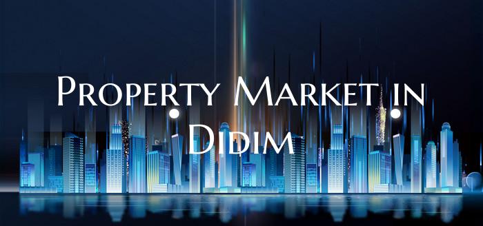 Property Market in Didim